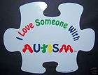Love Someone with Autism Puzzle Piece Car Magnet