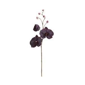  29 Silk Phalaenopsis Orchid Flower Spray  Antique Purple 