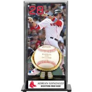  Gold Glove Baseball Display Case   Boston Red Sox   MLB Gloves 