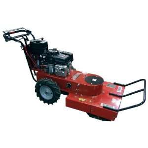 20 Giant Vac lawn dethatcher power turf rake 5.5 Hp Briggs & Straton on ...