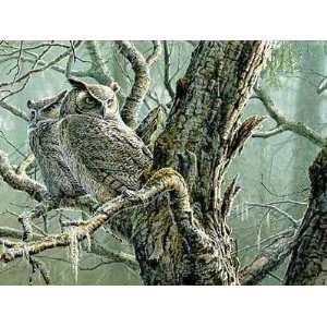  Silent Forest (Great Horned Owls) Poster Print
