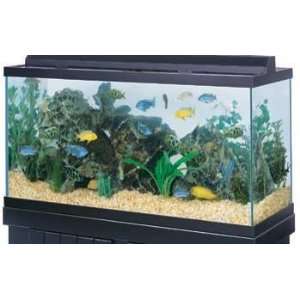   All Glass Aquarium Co. 75 Gallon Tank Black 48 X 18 X 20