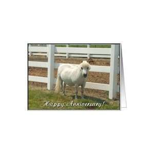  Happy Anniversary White miniature horse Card Health 