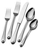    Gourmet Basics by Mikasa Flatware Chloe 50 Piece Set customer 