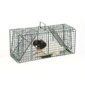 Humane Live Animal Trap For Racoon, Skunk or Cat Catch & Release Trap 
