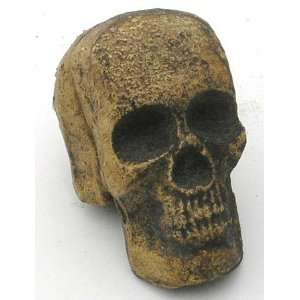  Cast Iron Skull Paperweight 