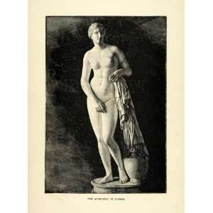  1890 Wood Engraving Aphrodite Knidos Praxiteles Sculpture 