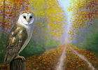 Barn owl autumn road limited edition aceo print art