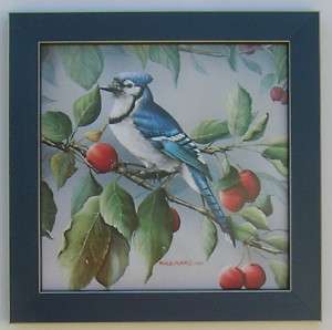 Birds Blue Jay Berries Framed Bird Picture Art  