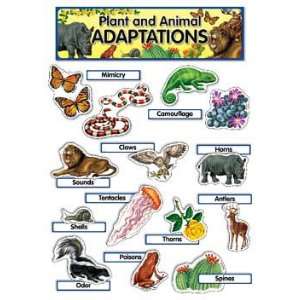  Plant & Animal Adaptations Mini Bb Set Toys & Games