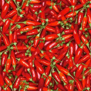 HOT CHILI PEPPERS~RJR FABRIC~1/2YD~FARMERS MARKET 2010  