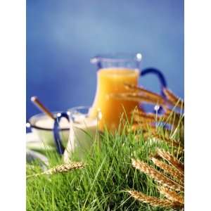  Healthy Ingredients (Quark, Milk, Juice, Cereals) on Grass 