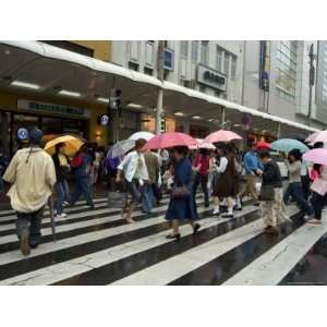 Pedestrians Crossing in the Rain, Kyoto City, Honshu Island, Japan 