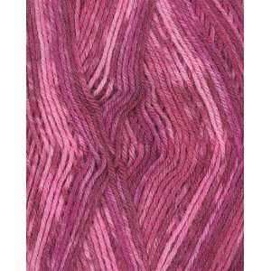  Debbie Macombers Blossom Street Petals Socks Yarn 601 