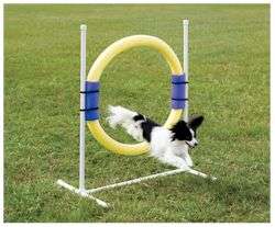 SHIPPING RETURNS Innotek Dog Fences SportDog Dogtra