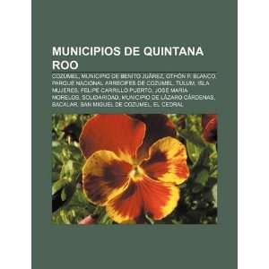 com Municipios de Quintana Roo Cozumel, Municipio de Benito Juárez 
