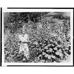  Dorothy Canfield Fisher in garden, Arlington, VT 1931 