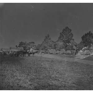  Manassas, Virginia. Camp of General Irvin McDowells body 