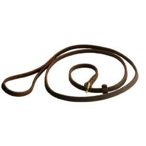 Dean & Tylers New 2 in 1 Slip Leash   5 Foot by 1/2 Width   Brown 