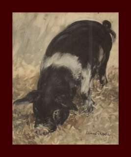 PIG, Color Print Diana Thorne, vintage 1935  