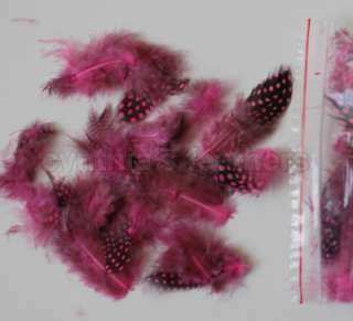   ) average 1 4 hot pink spotted guinea hen feathers, 14 colors  