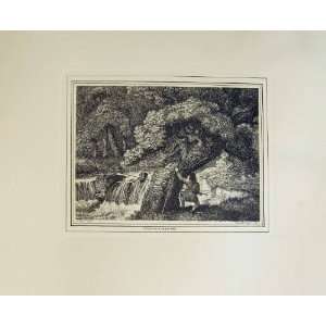  Worm Fishing Print Howitt 1799