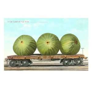  Giant Figs on Flatbed Giclee Poster Print, 40x30