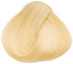 Goldwell Topchic Professional Hair Color (2.1 oz. tube)  10N