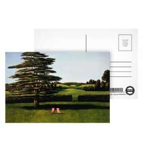 Cedar Tree, 1985 by Liz Wright   Postcard (Pack of 8 