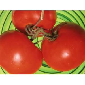  Red Ripe Tomatoes Food Green Glass Bowl Photographic 