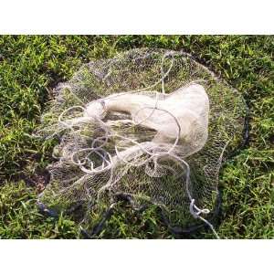  BAIT CASTING NET, 6 FT. 3/8 EXCELLENT 