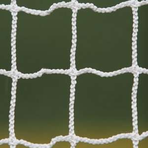    Brine 2.5 MM Practice Replacement Net 11