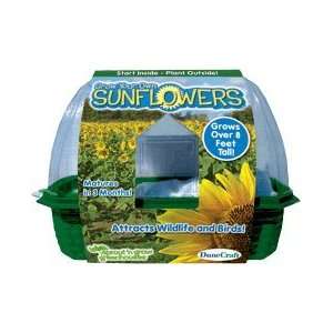  Grow Your Own Sunflowers Patio, Lawn & Garden