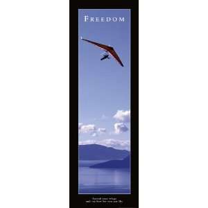  Freedom Hang Glider Motivational Panoramic Hang Gliding 