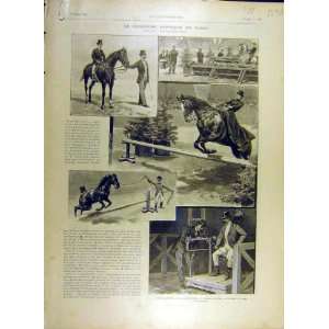  1895 Show Paris Horse Jumping Horses Industrial Palace 