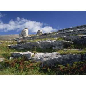  Rock Formations of the Burren, County Clare, Munster, Republic 
