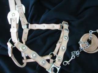Natural leather Western Horse star concho Show Halter Lead by Showman 