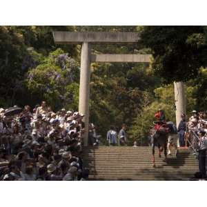  Horse Jumping Festival, Tado Town, Mie Prefecture, Kansai 