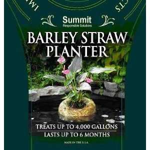  Summit Pond Barley Straw Planter Large