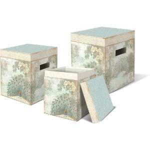   Punch Studio Antique Peacock Jumbo Cube Nesting Boxes