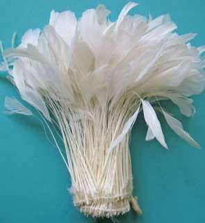 30 PCS. BRIGHT WHITE STRIPPED COQUE ROOSTER FEATHERS  