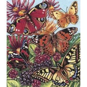    Pencil By Number Kit 10 Inch X12 Inch  Butterflies
