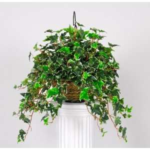  Artificial Variegated English Ivy Hanging Basket