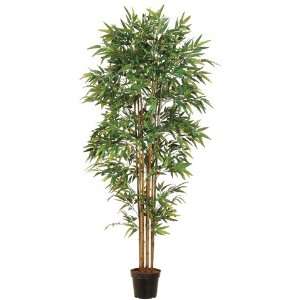  7? EVA Bamboo Tree in Plastic Pot Green (Pack of 2)