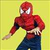 9016 Muscle Spiderman Cape Boy Fancy Dress Costume
