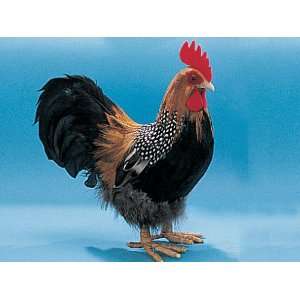  10 Standing Rooster Chicken Furry Animal Figurine Toys & Games