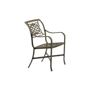   Arm Patio Dining Chair Textured Shell Finish Patio, Lawn & Garden