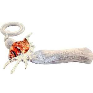  Lambis shell with tassel