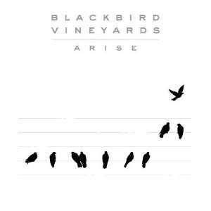  Blackbird Vineyards 2009 Arise 375ml Napa Valley Grocery 