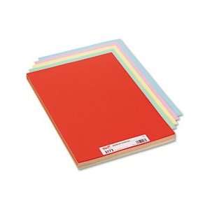  Pacon® Assorted Colors Tagboard
